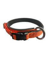 Neoprene collar