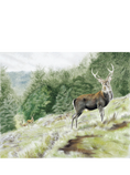Load image into Gallery viewer, Sika Stags
